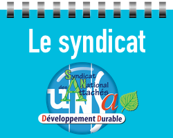 D1 syndicat